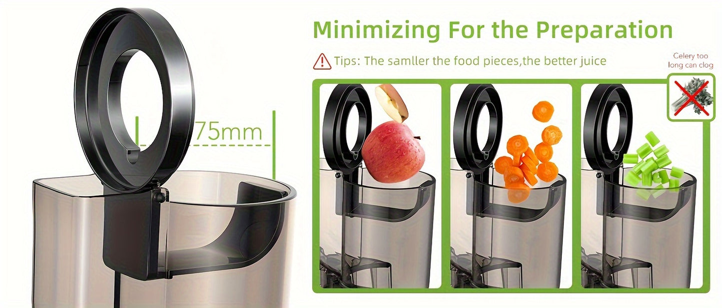 BPA FREE Wide Chute BioloMix Slow Masticating Juicer, Cold Press Juicer Blender Fit Whole Fruit and Vegetable